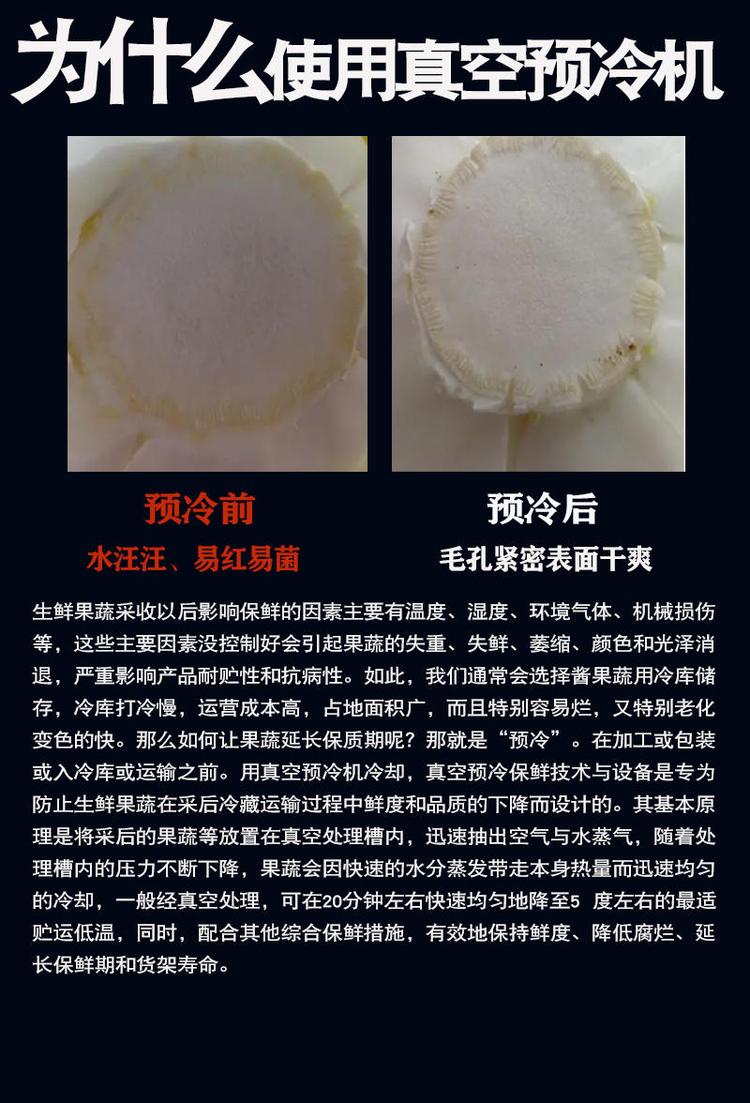 拓普歐3.jpg